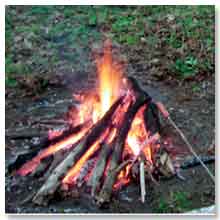 Information on Lohri 
