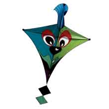 Information on Makar Sankranti 