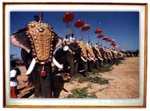 Information on Thissur Pooram 