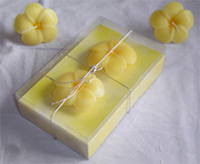 Creative Candles - Indian manufacturer and exporter