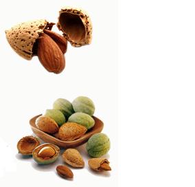 Nuts Range Of Chocolates