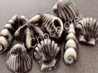 SHELL SHAPED CHCOLATES, Wholesale SHELL SHAPED CHCOLATES from India