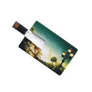 Business Card  USB, Wholesale Business Card  USB from India